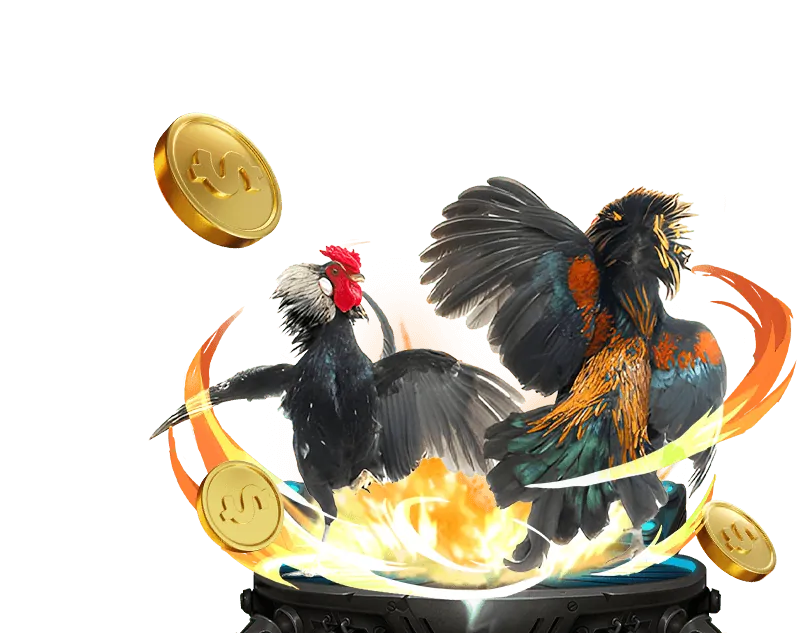 Giải thích về đá gà trực tuyến tại Hi Poker